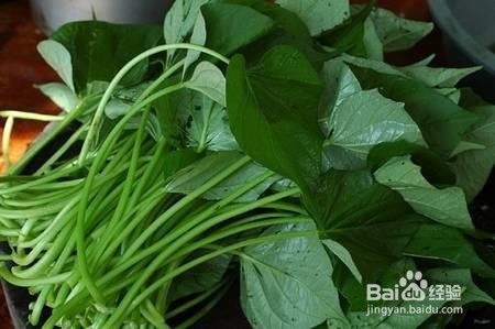 如何保存红薯叶种子才能保证来年种植时发芽率高