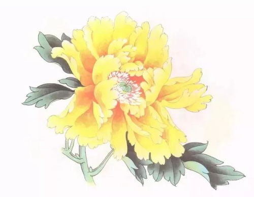 牡丹花色怎么涂？5分钟速成