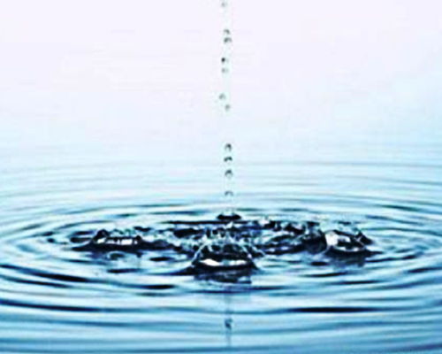 水质恶化：kan不见的危机