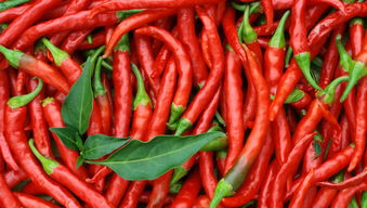 辣椒农药残留， 对产业发展有影响