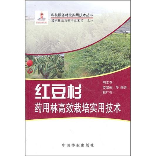 红豆杉高效培育技术