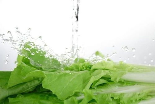 农药残留与清洗方法