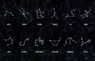 十二星座中，哪个星座的花语代表着永恒的爱情