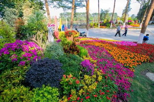 绿色花境的打造