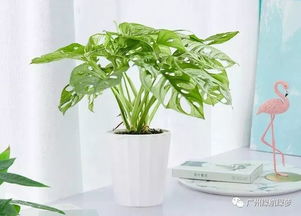 现代室内设计中的风水布局