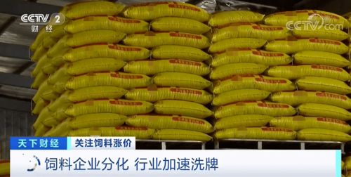 2026年济宁市饲料行业恶性竞争，饲料质量如何保证？
