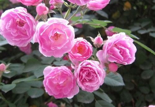 时间财富， 人生宝贵