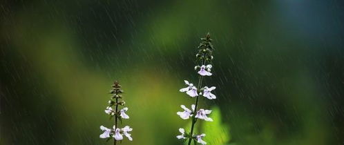 再说说说个冷知识