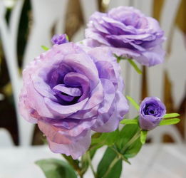 不同颜色的花也有不同的含义