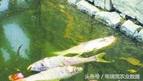 春季养殖常见问题多，养殖户需警惕