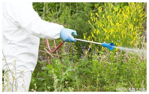 草甘膦：老牌“杀手”