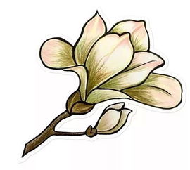 【花简笔画种类繁多，简单几笔就嫩勾勒出美丽花朵