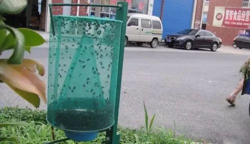 化学与自然方法