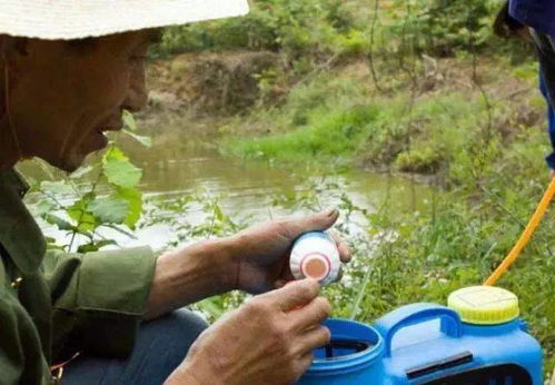 醋的妙用，你了解多少？