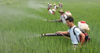 农药的使用量