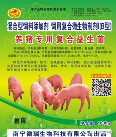 益生菌饲料为什么效果不明显？新手如何避开五大雷区？