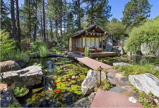 自然与人的和谐融合