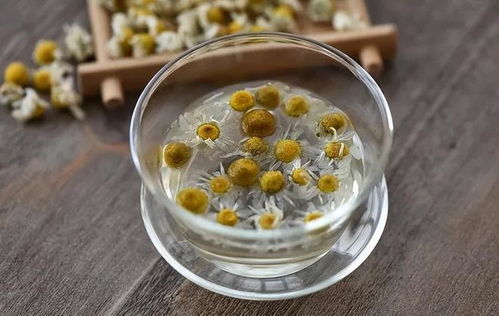 菊花茶功效显著，这样喝才能发挥最大效用