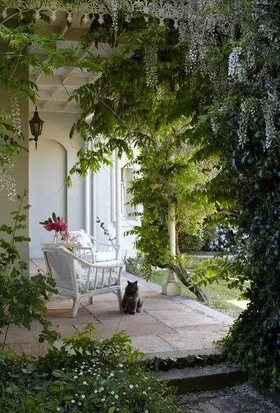 冬季庭院种植技巧分享