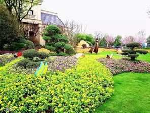 园林庭院小乔木花卉种植指南