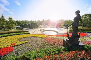 花圃里的美丽画卷