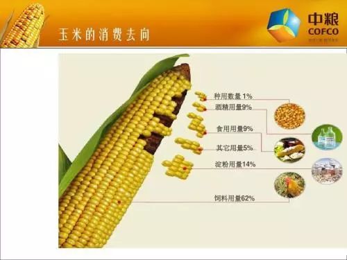 碳铵价格,涨跌不定