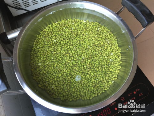 “在哪个季节种植绿豆最合适？”