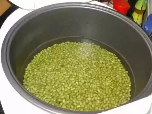 绿豆快速种植，秘诀是什么