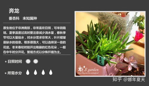 植物园里的秘密