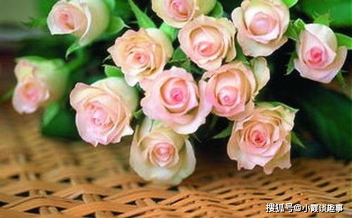 使用鲜花保鲜剂， 让花朵梗持久