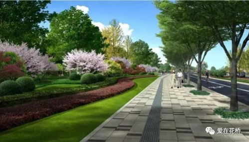 二、 密枝红叶李球：红得耀眼，美得让人陶醉