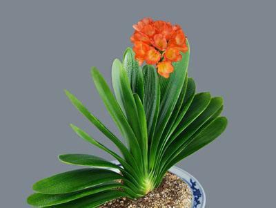 2.2 第二步：泡水大法