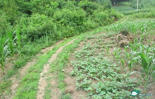 十年经验， 品质与政策双重保障