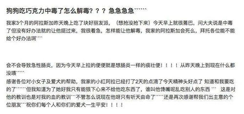 案例分析， 警惕“图省事”