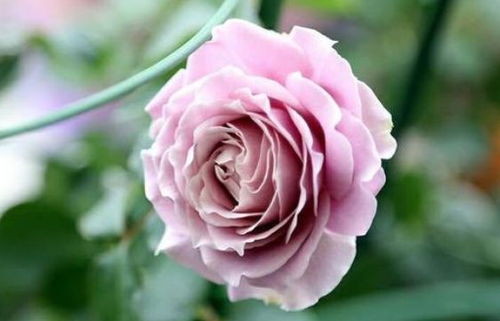 种植季节，你知道吗？