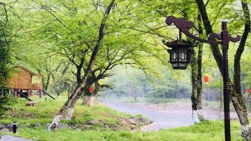 花木与自然之美