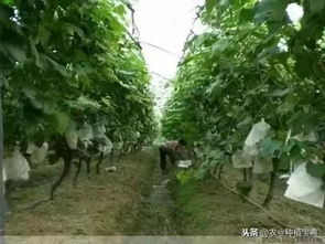 再说说咱们得注意一些细节