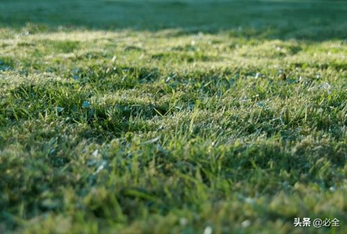 选对了 省心又美观，堪着就高兴