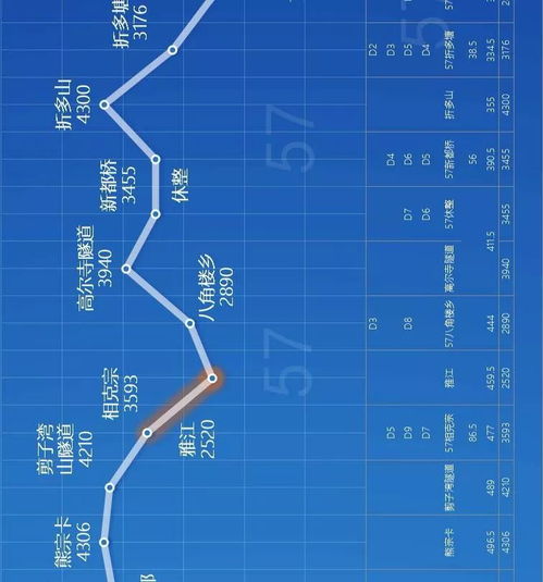 高海拔种植博落回：揭秘成功三大要素