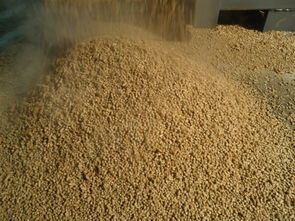 小鸡饲料搓饵中，面粉结块问题如何解决？百份几面粉配比最合适？