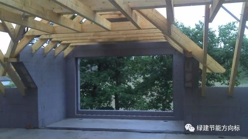 一、 凤仙花：美丽又好养活