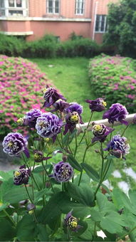 浇水篇：掌握这套