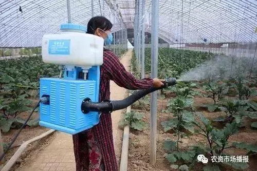 平安等待时间与剂量