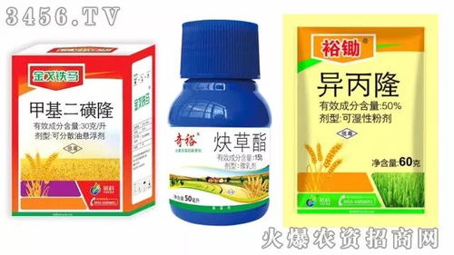 氟噻草胺：除草界的黑马