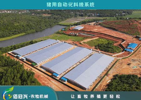 标准化猪舍建筑：结构合理