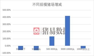 散户出清后中等规模猪场如何破局，实现7周大批次生产？