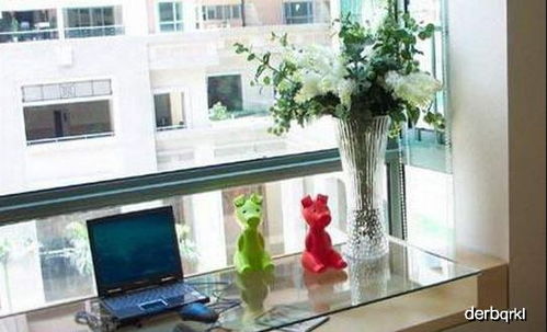 朝西飘窗的阳光战士