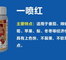 辣椒催红催熟，选对药剂是关键