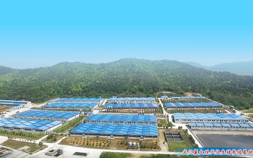 农业养殖领域，国家地方政策能否全面覆盖