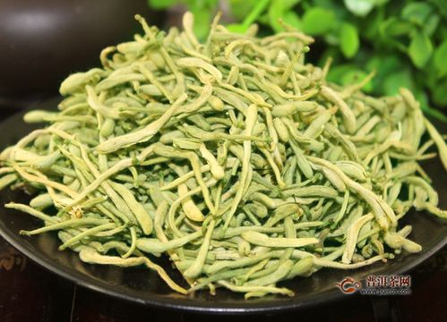金银花的花期有多长，一般从什么时候开始开花到什么时候结束